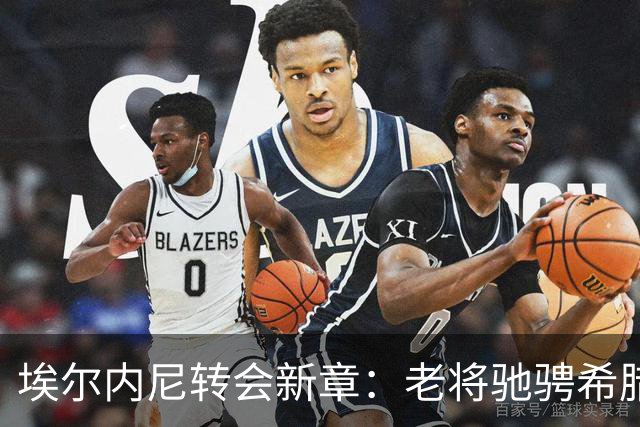 埃尔内尼转会新章：老将驰骋希腊绿茵场！