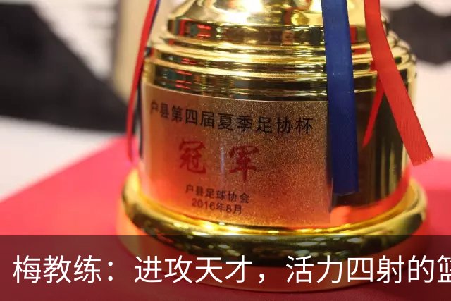 梅教练：进攻天才，活力四射的篮球灵魂